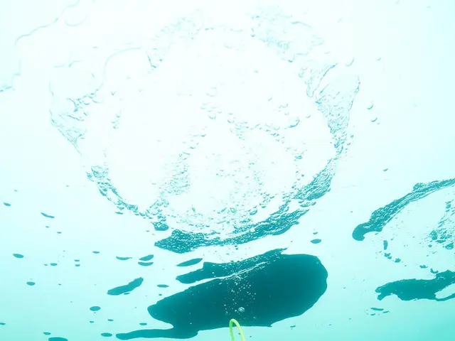 In this image, we can see a person doing scuba diving in the water.