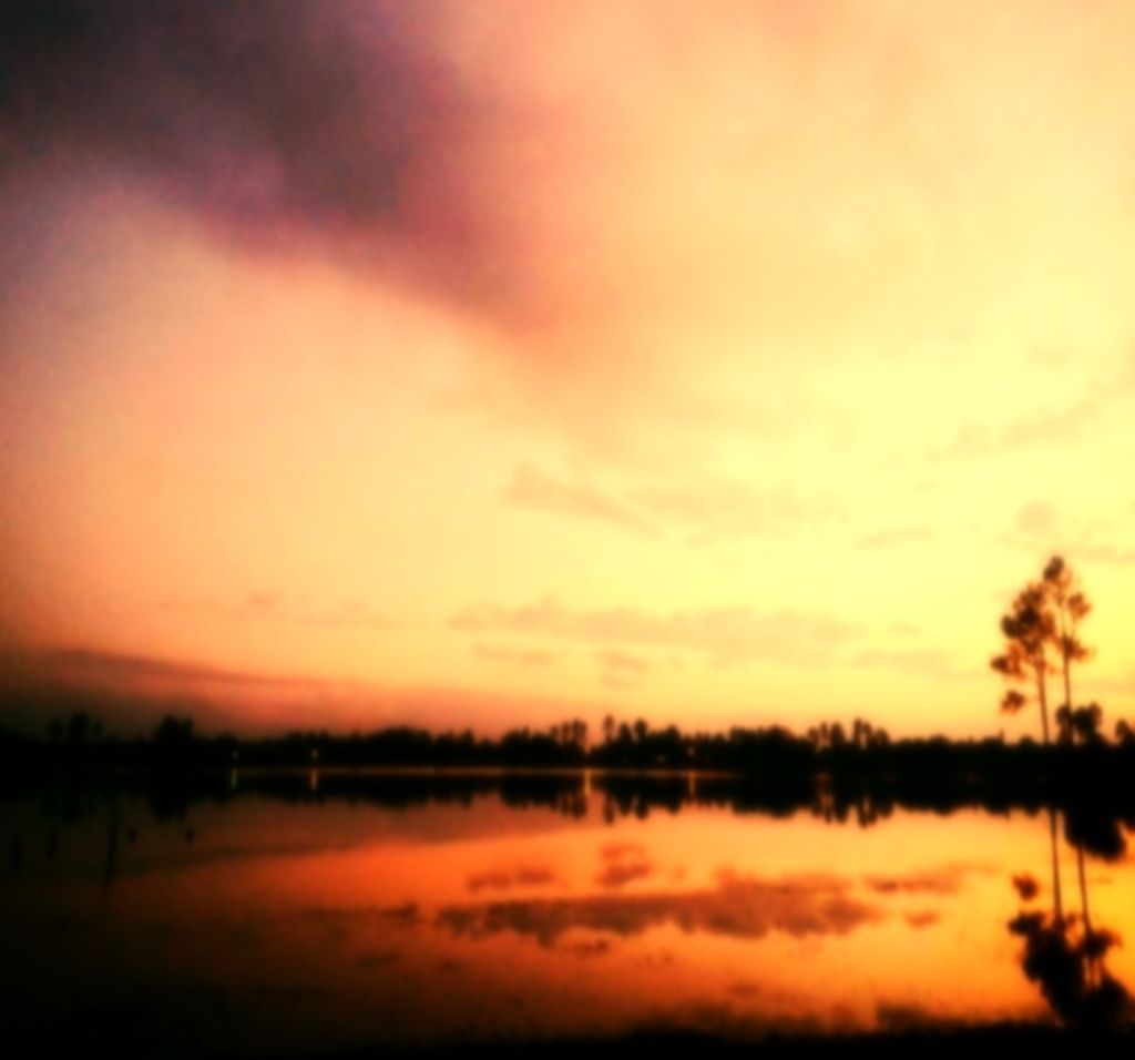 In the heart of Azerbaijan, the city of Baku emerges as a burgeoning cultural hub, combining...